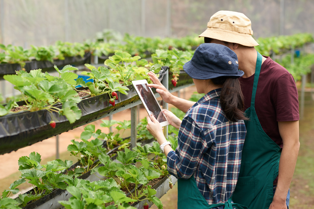 Tecnologia no agronegócio: 7 soluções para diminuir o desperdício e aumentar a produtividade no campo