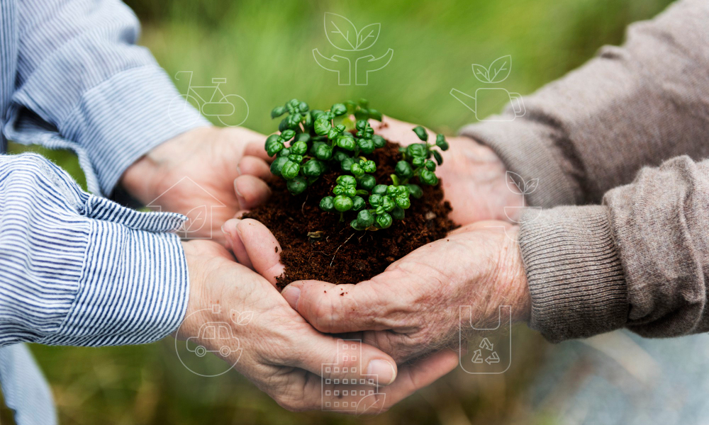 A sustentabilidade é importante no Agronegócio